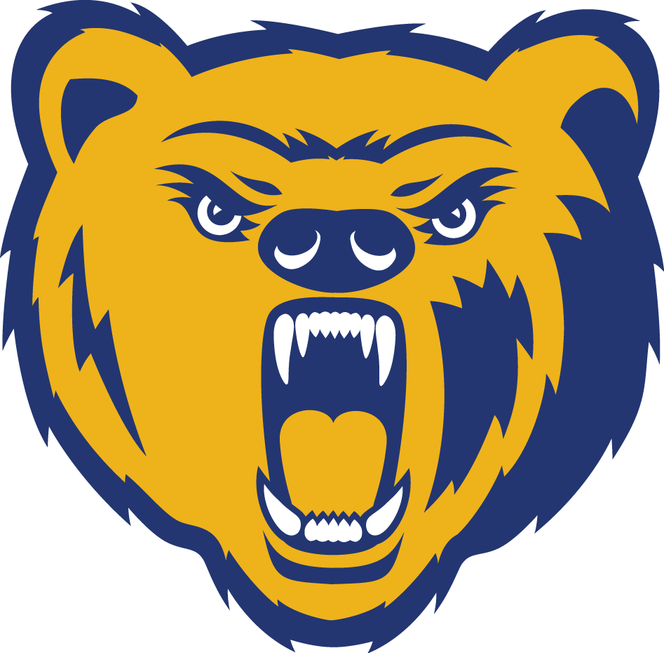 Northern Colorado Bears 2010-2014 Primary Logo DIY iron on transfer (heat transfer)